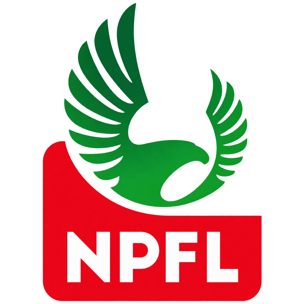 NPFL crest
